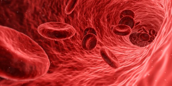 Hematies, membrana y rh