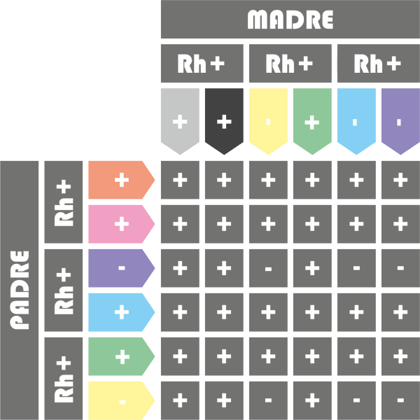 combinaciónes y herencia para el factor rh
